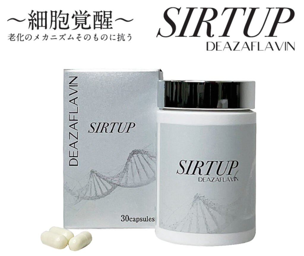 SIRTUP（サーチュアップ）